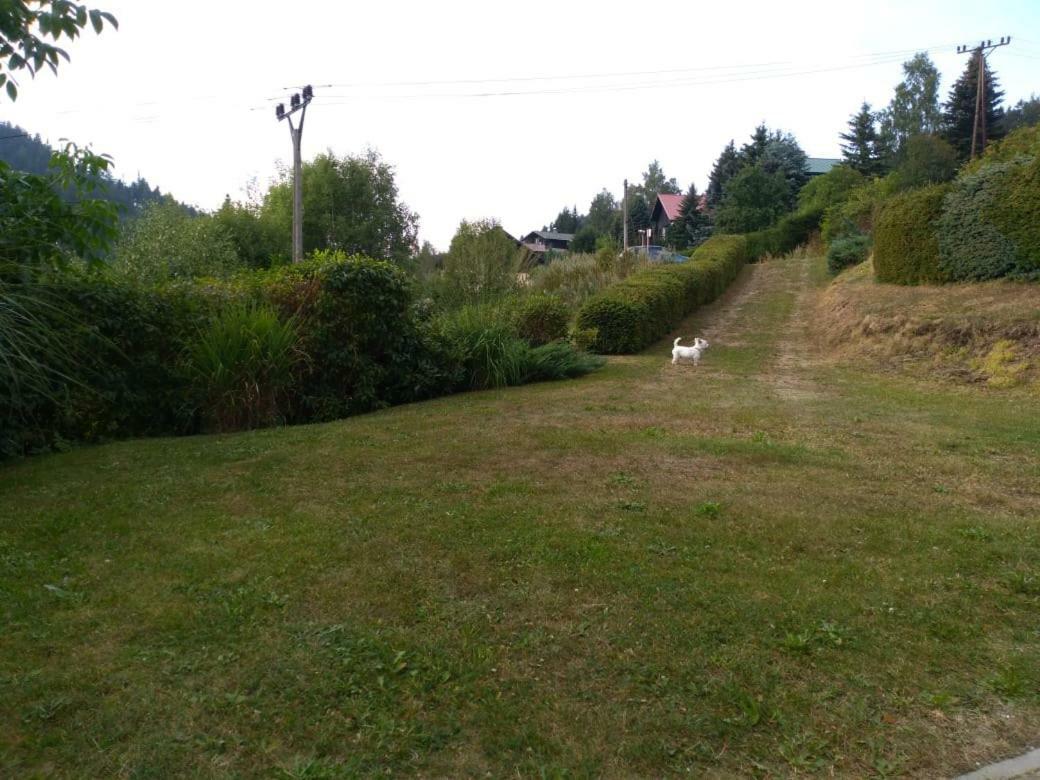 Apartman KRAL Albrechtice v Jizerskych horach Dış mekan fotoğraf